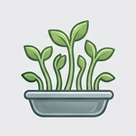 A tray of healthy seedlings