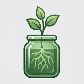 A young plant with roots in a jar